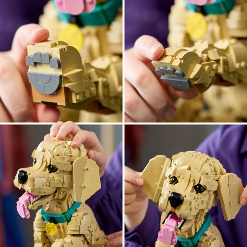 LEGO® Icons 11384 - Cachorrinho Golden Retriever - Image 6