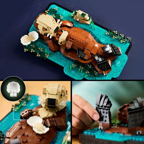 LEGO® Ideas 21366 - Lontras Marinhas Flutuantes - Image 5