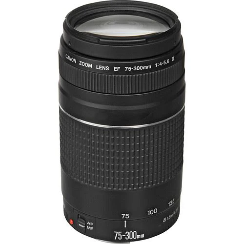 Máquina Fotográfica Reflex Canon EOS 2000D + EF-S 18-55mm f/3.5-5.6 VUK + EF 75-300mm f/4-5.6 III + Bolsa + Cartão SD 16GB - Image 4
