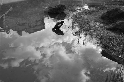 Máquina Fotográfica Compacta Ricoh GR IV Monocromática - Preto - Image 17
