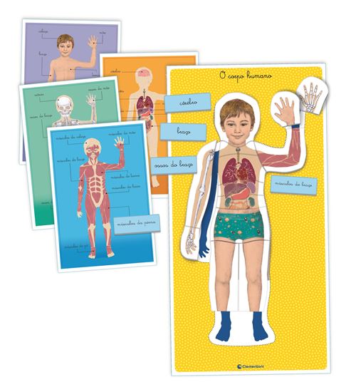 Jogo Montessori: Corpo Humano - Clementoni - Image 2