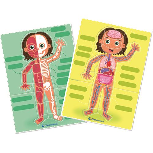 Montessori - O Corpo Humano - Education Clementoni - Image 3