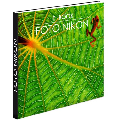 Máquina Fotográfica Mirrorless Nikon Z30 + NIKKOR Z DX 16-50mm F/3.5-6.3 VR + Cartão SD 16BG + Tripé + Bolsa + E-book - Image 8
