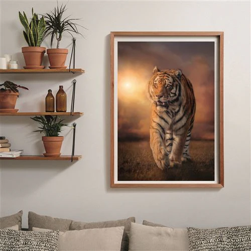 Puzzle High Quality Collection Compact: Tiger - 1000 Peças - Clementoni - Image 3