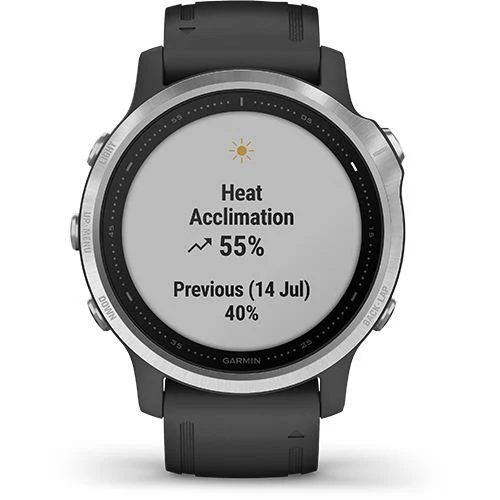 Relógio Desporto Garmin Fénix 6S 42mm - Prateado | Preto - Image 6