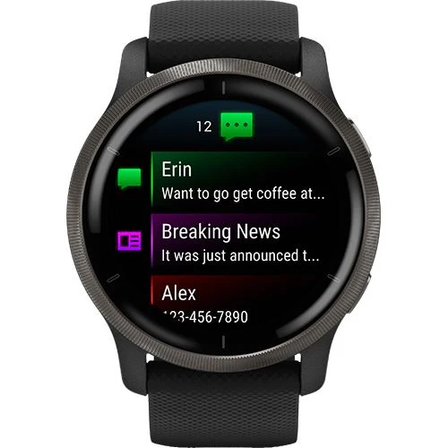 Relógio Desportivo Garmin Venu 2 - Preto - Image 2