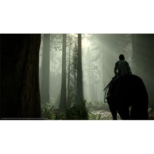 Shadow of the Colossus PS4 - Image 14