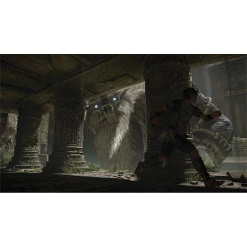 Shadow of the Colossus PS4 - Image 18