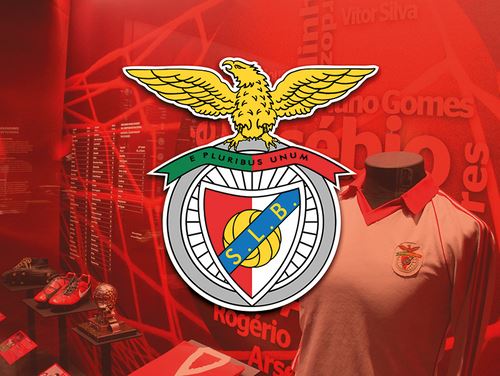 Pack Presente Odisseias - Sport Lisboa e Benfica | Tour ao Estádio & Museu + Cachecóis - Image 2