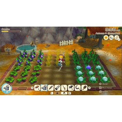 Story of Seasons: Grand Bazaar - Nintendo Switch 2 - Image 3