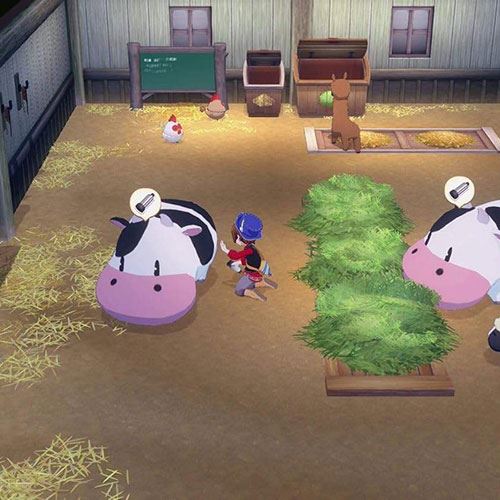 Story of Seasons: Grand Bazaar - Nintendo Switch 2 - Image 2
