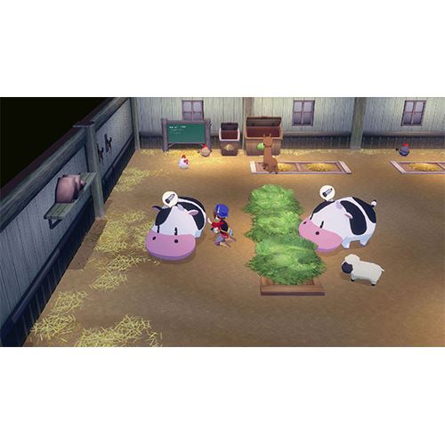Story of Seasons: Grand Bazaar - Nintendo Switch - Image 2