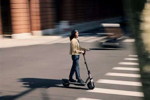 Trotinete Elétrica Ninebot by Segway F3 E 450W - Image 11